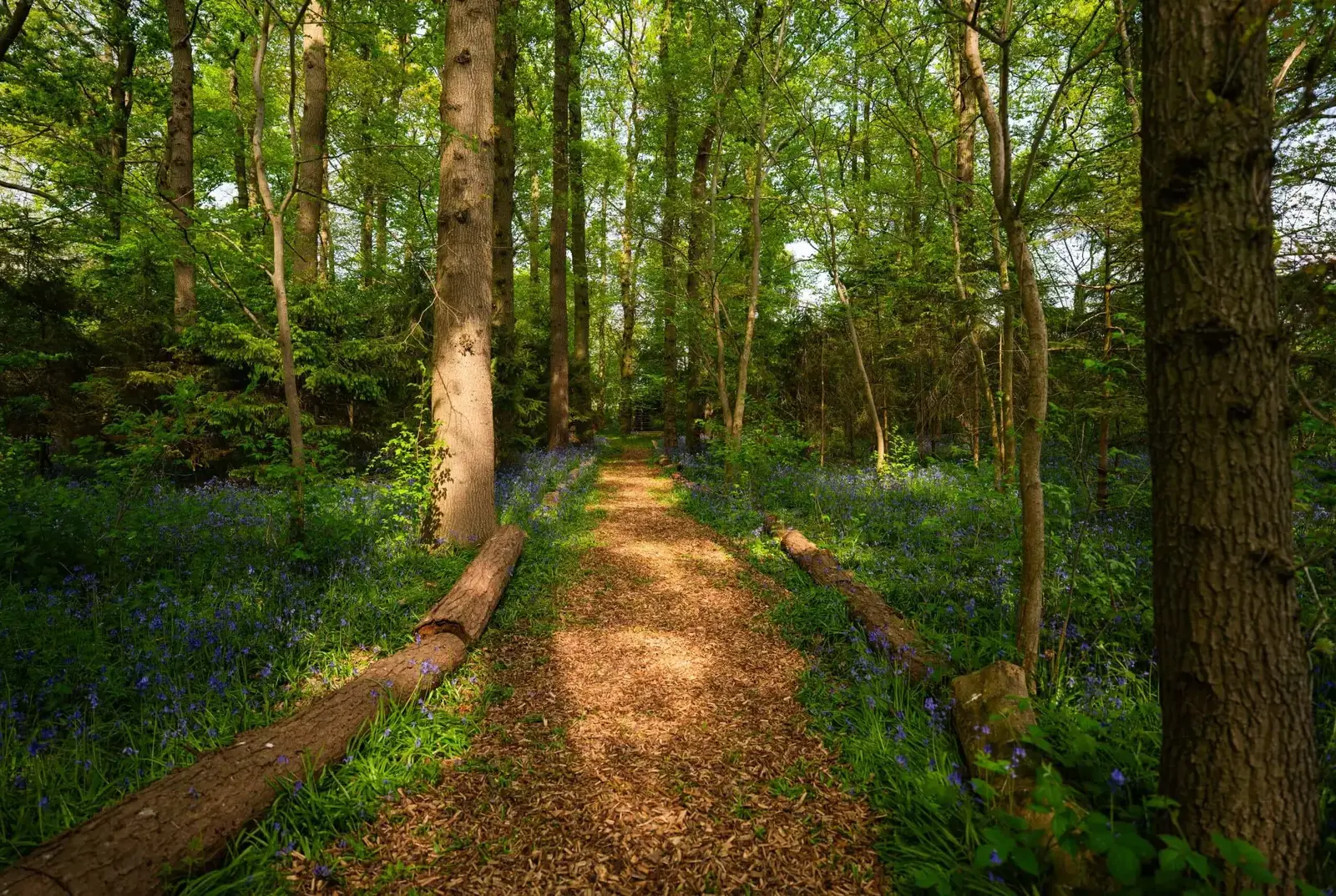 Entrance to Forest School