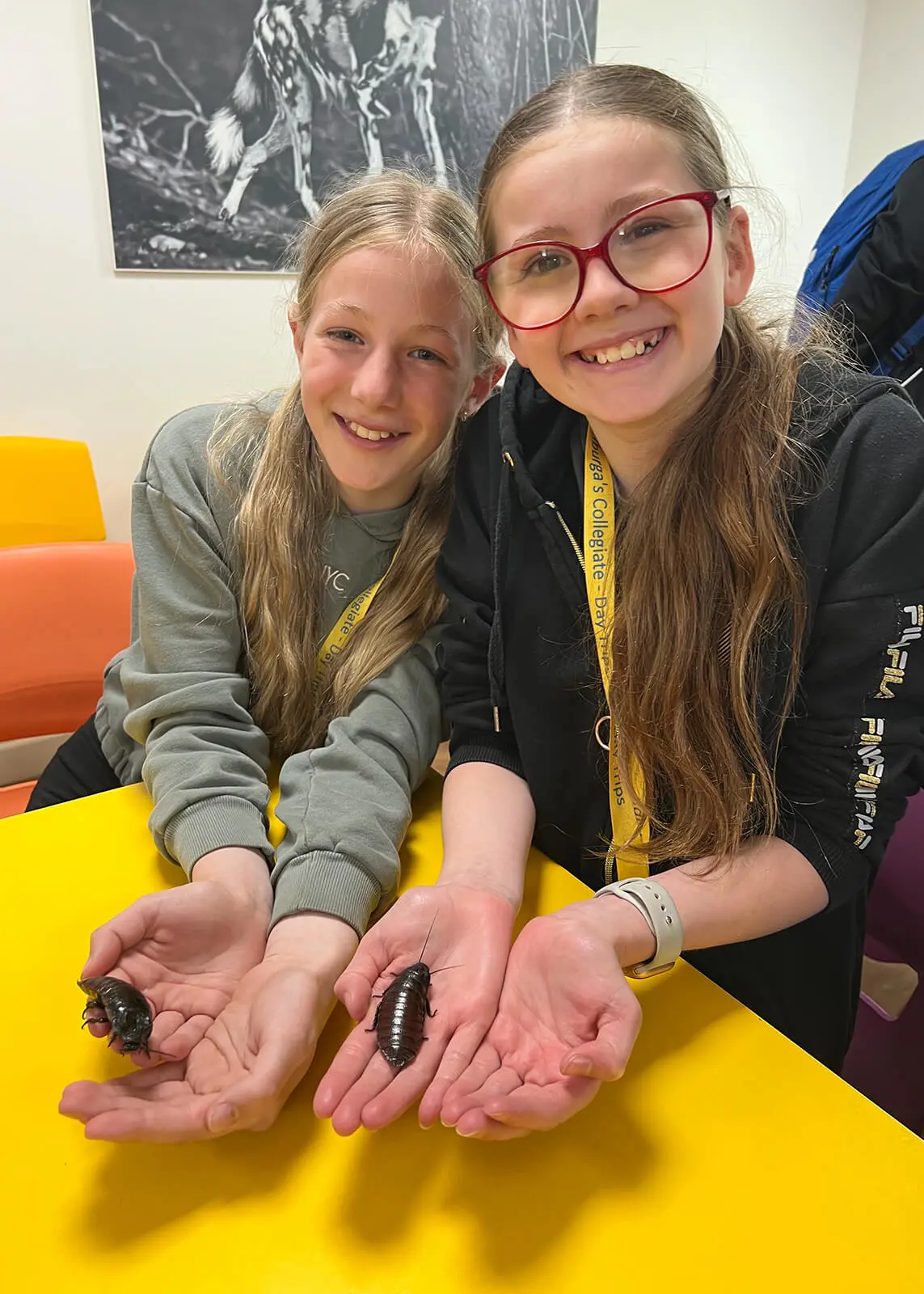 Key Stage 3 pupils at King's Magna Middle School