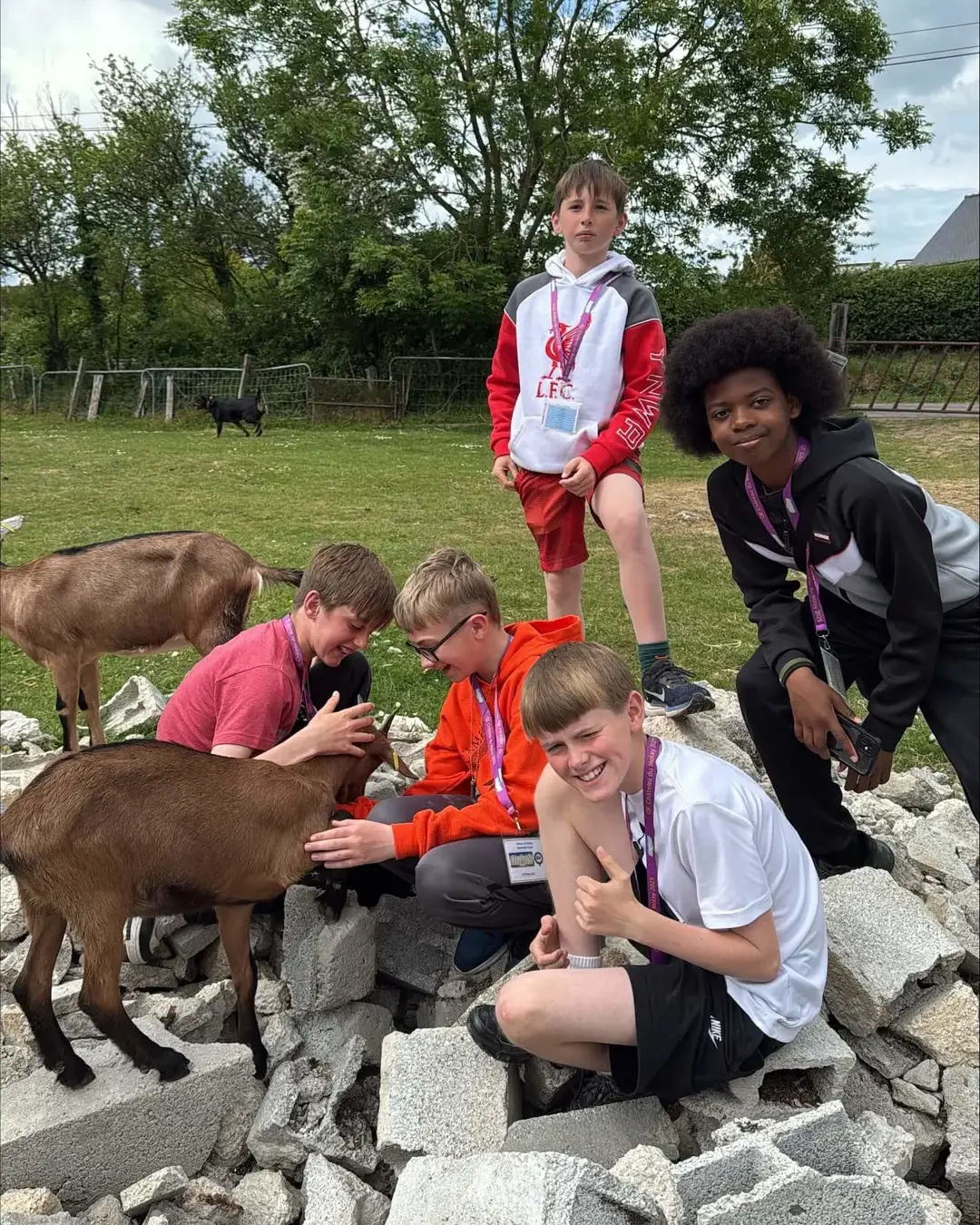 Students stroking a goat in France.
