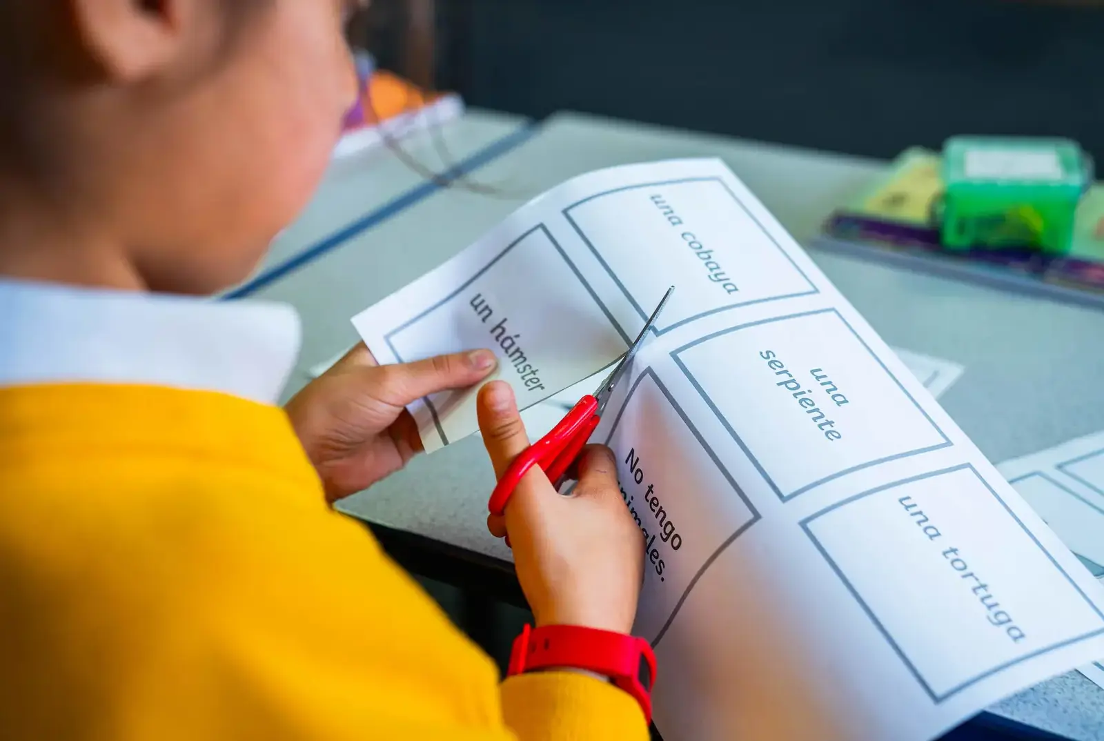 Student cutting out Spanish words at Queen Ethelburga's.