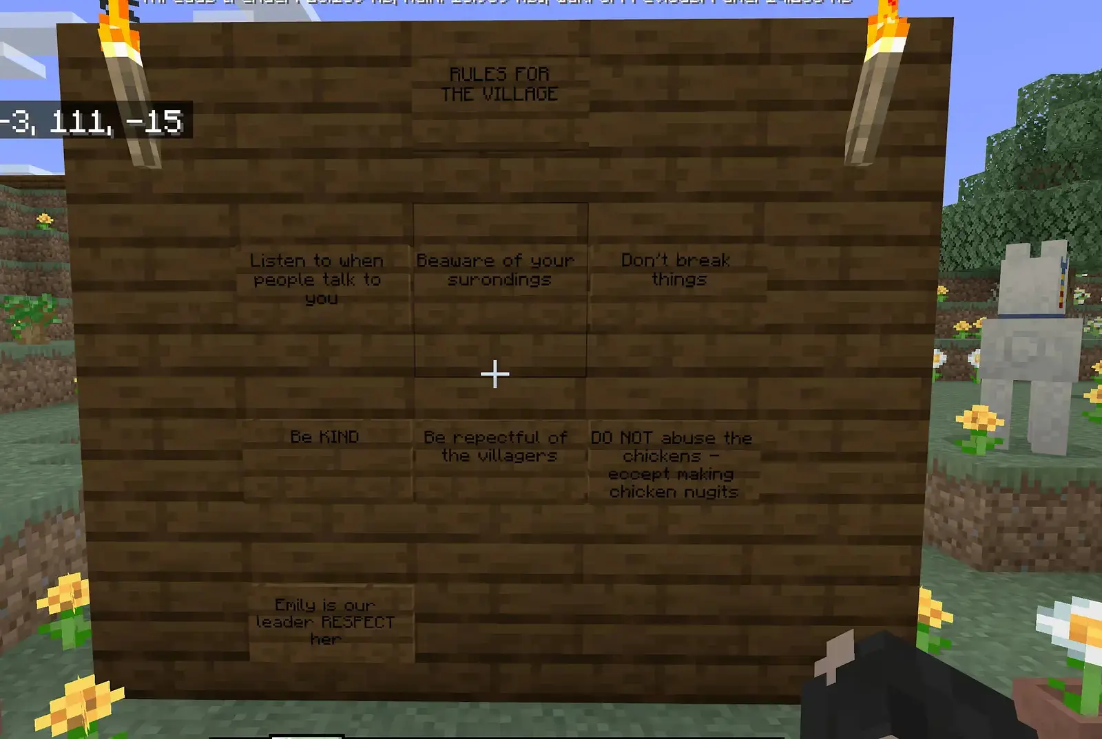 The rules established in the teams' town. 