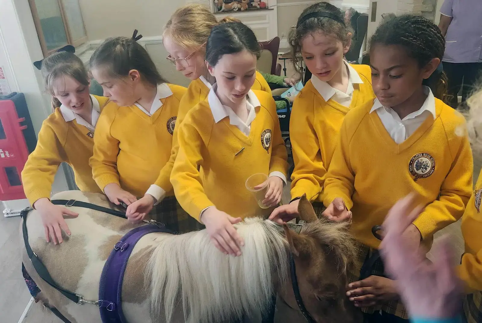 Students petting a horse at a Care Home.